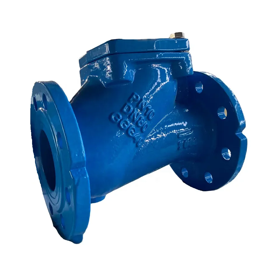 Ductile Iron Flange Ball Check Valve For Sewage Water Suppliers