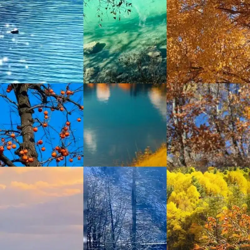 Плата ESP8266 ESP-12F D1 Mini Nodemcu Lua IOT с Type-C, модуль Wi-Fi D1 Mini для разработки на NodeMCU Lua, совместимый с Arduino