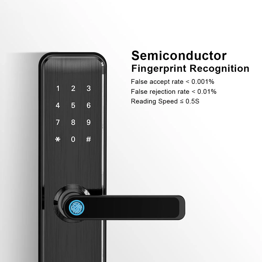 Factory New Fashion Serrure Intelligente Biometric Digital FingerPrint Password IC Card TTlock Smart Door Lock for Wooden Doors