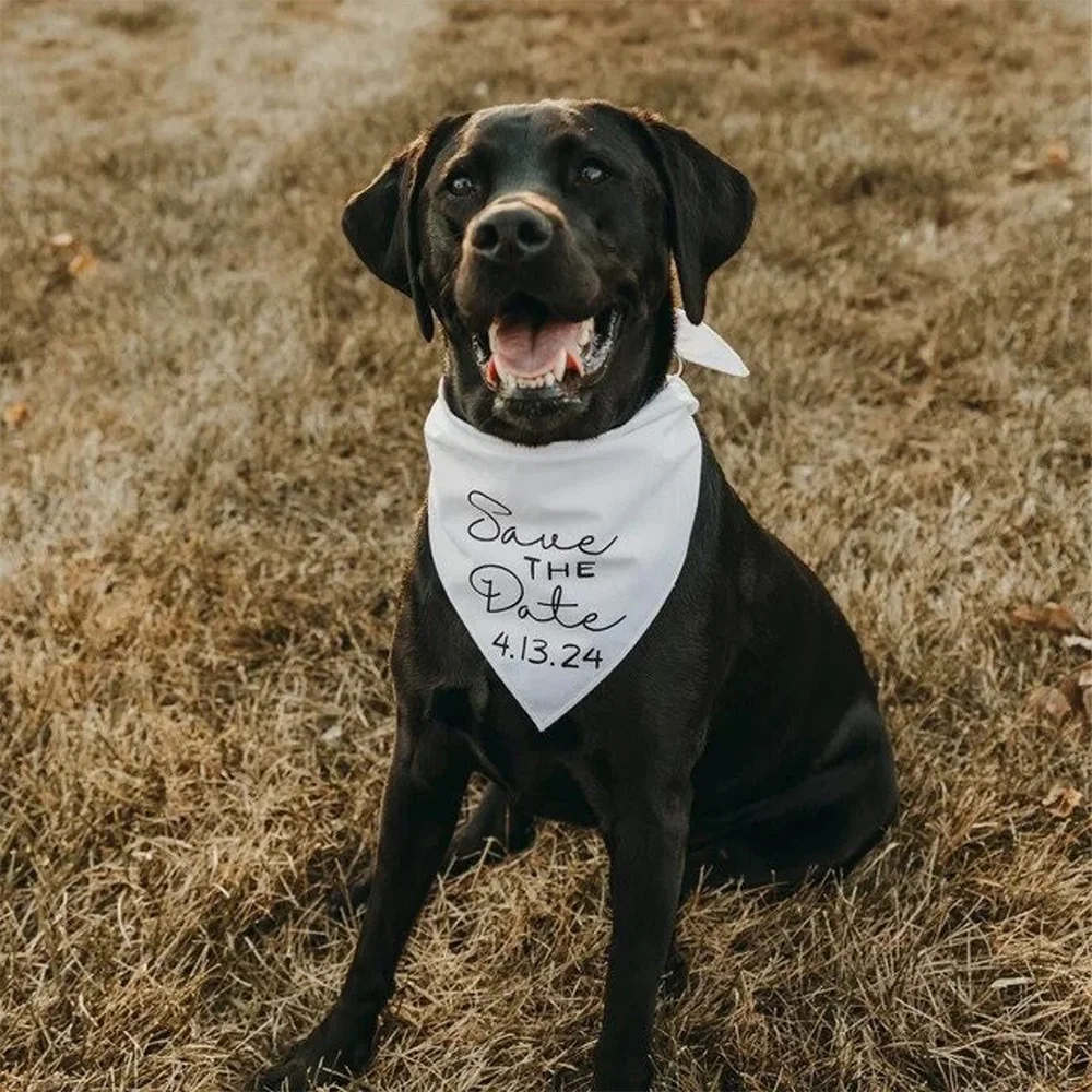 wedding Customized date Save The Date Dog Bandana My Humans are getting married engagement engagement for decor supplies favor