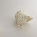 beige floral