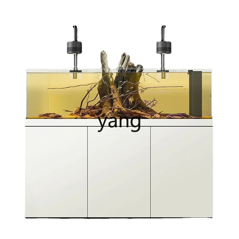 lmm Lanshou Taishi Tank Native Stream South America Sanhu Fish Tank Aquarium