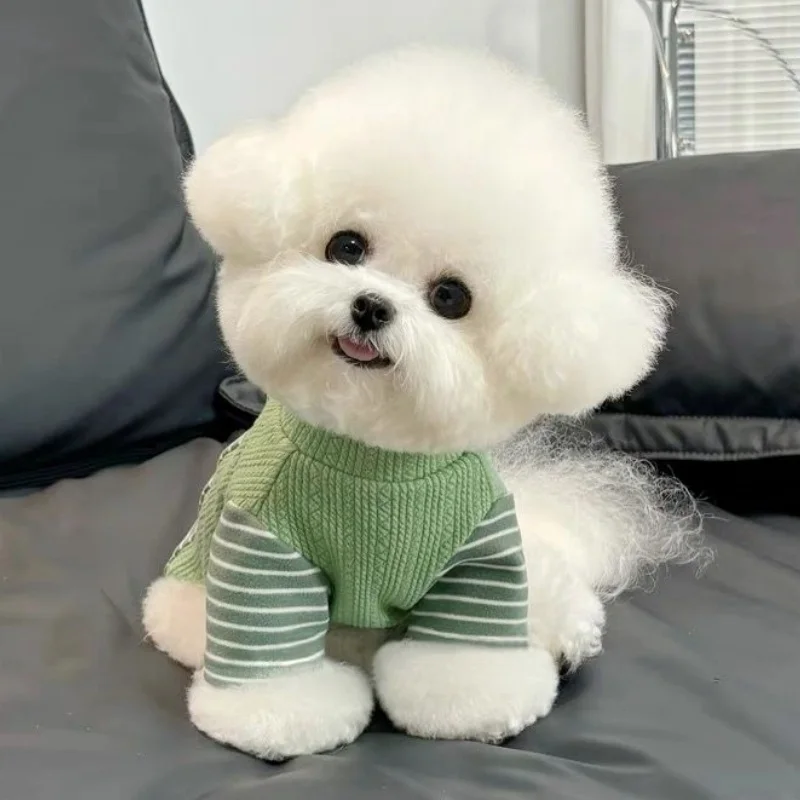 Camiseta suave fina de verano para perros pequeños y gatos