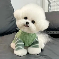 Camiseta suave fina de verano para perros pequeños y gatos