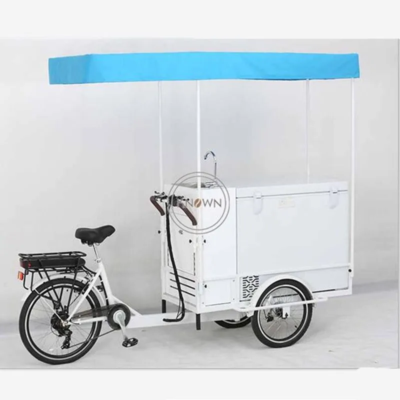 

Electric Cargo Bike For Ice Cream Outdoor Cheap Retail Tricycle Adult Food Vending Cart Summer