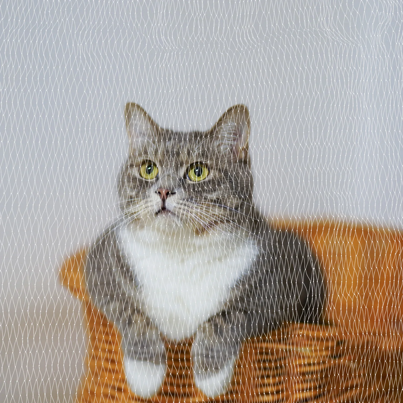 

Balcony Safety Net Pet Protective Nylon Net Anti-Fall Mesh Cat Dog Balcony Window Nets Zip Tie Screw Fix