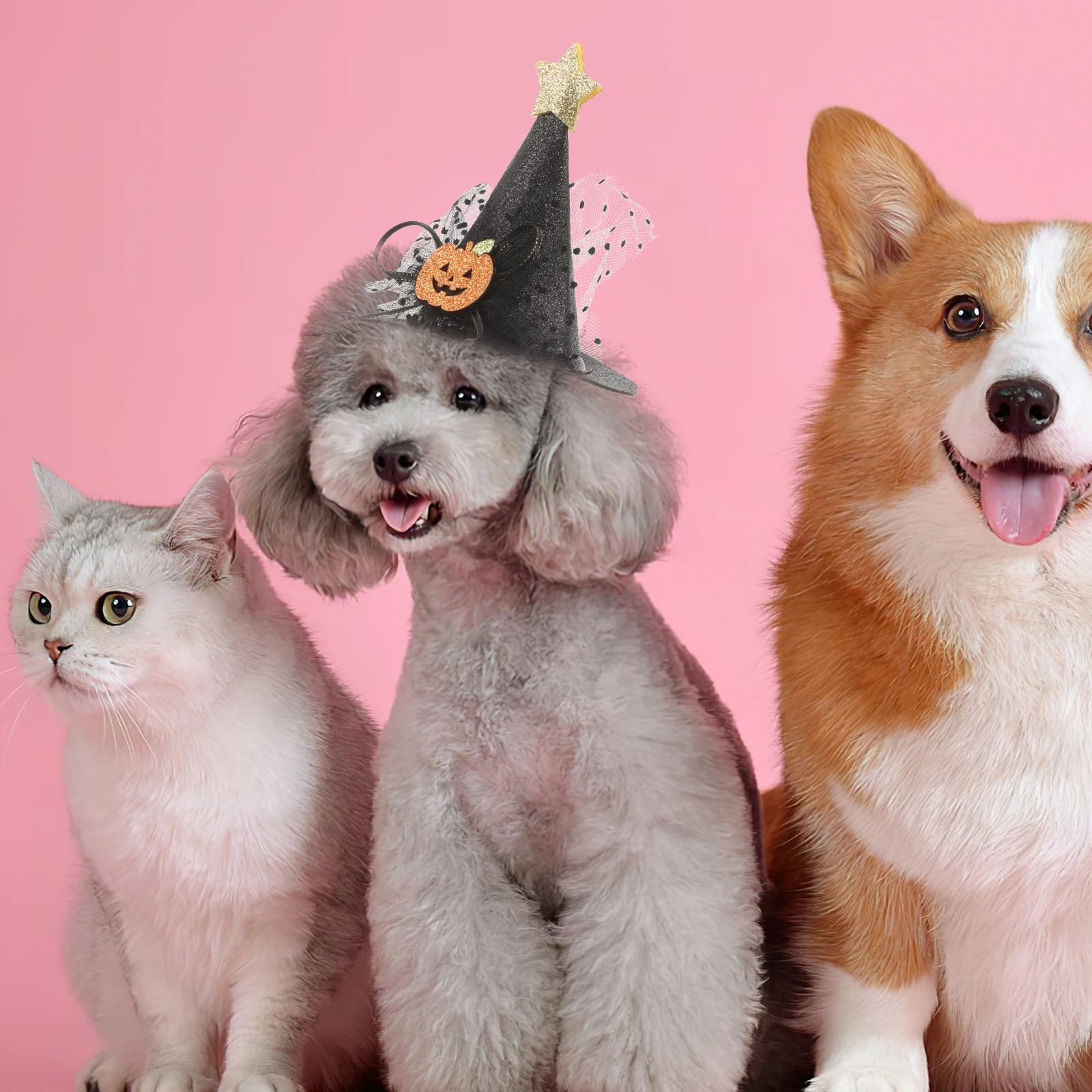 

2pcs Pumpkin Hat Headdress Adjustable Halloween Pet Cap for Cats Dogs Purple Black Costume Headgear Pet Accessories