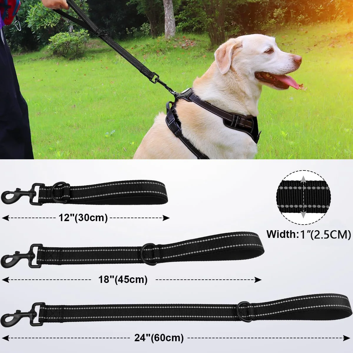 Taglory Short Dog Leash, Traffic Padded Handle, Heavy Duty Short Nylon Dog Lead For Training Control, Reflective Threads Pet Lea