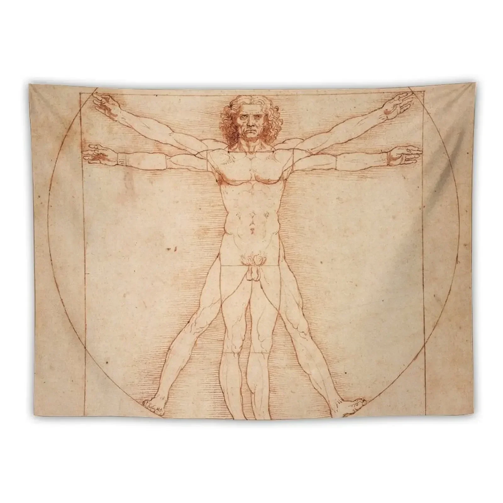 

Vitruvian Man by Leonardo Da Vinci (1490) Tapestry Room Design Wallpaper Bedroom Tapestry