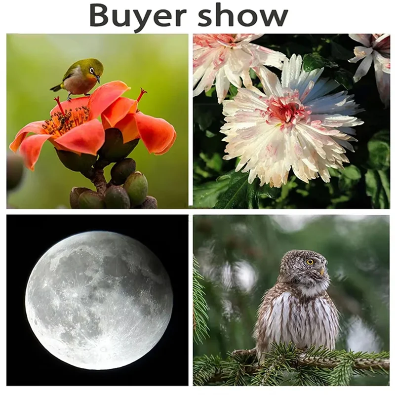 

A16Q-Professional 420-800Mm F8.3-16 Manual Focus Telephoto Zoom Lens Manual Telephoto Zoom Lens SLR Mirrorless Moon Lens For Can