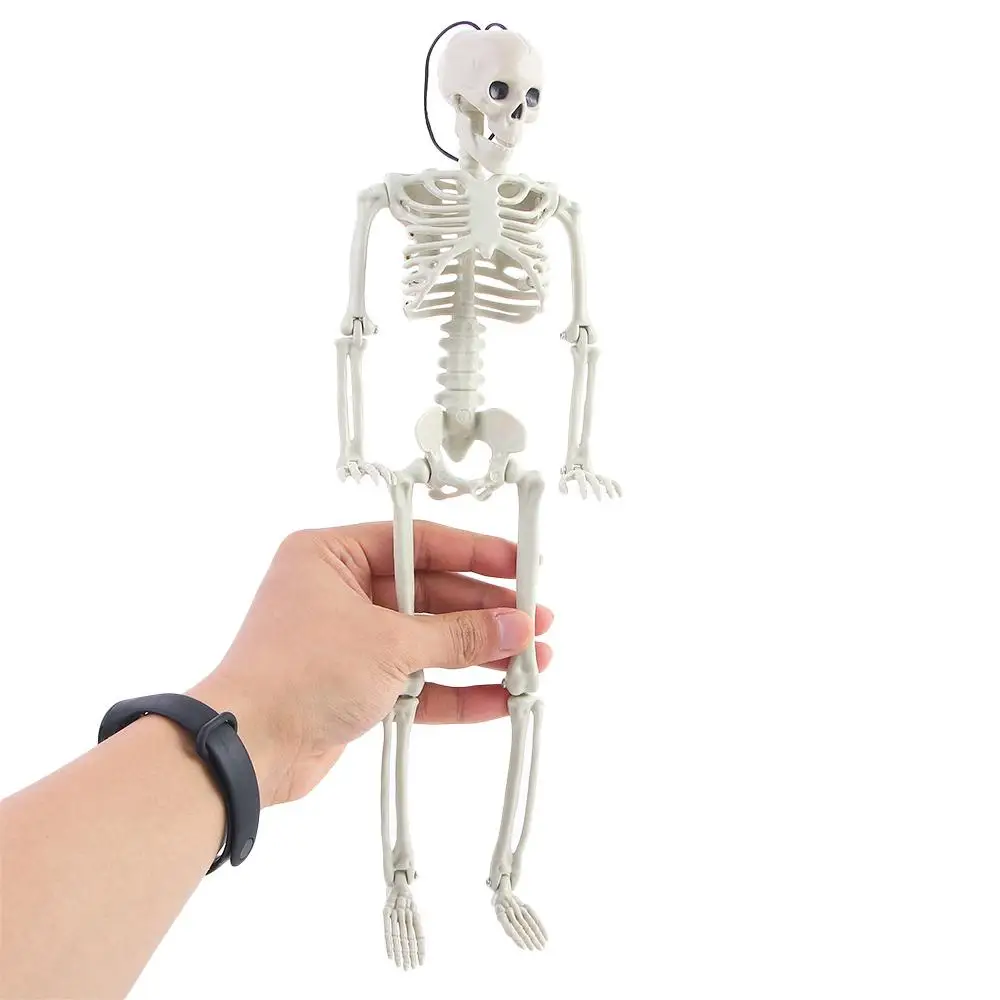 40 سنتيمتر الحلي اكسسوارات السيارات الداخلية علم الأحياء تعليم العظام البشرية تجهيزات حفلة الهالوين سيارة مرآة الرؤية الخلفية قلادة نموذج هيكل عظمي #5