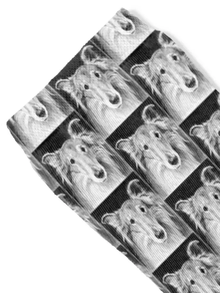 HARRY Socks Children's colored soccer anti-slip Lots Boy Child Socks Women's