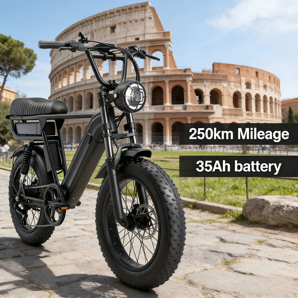 

Tire Electric Bike for Adults High Performance Long Life Cycling Disc Lithium Battery Steel CE Certified Germany Warehouse