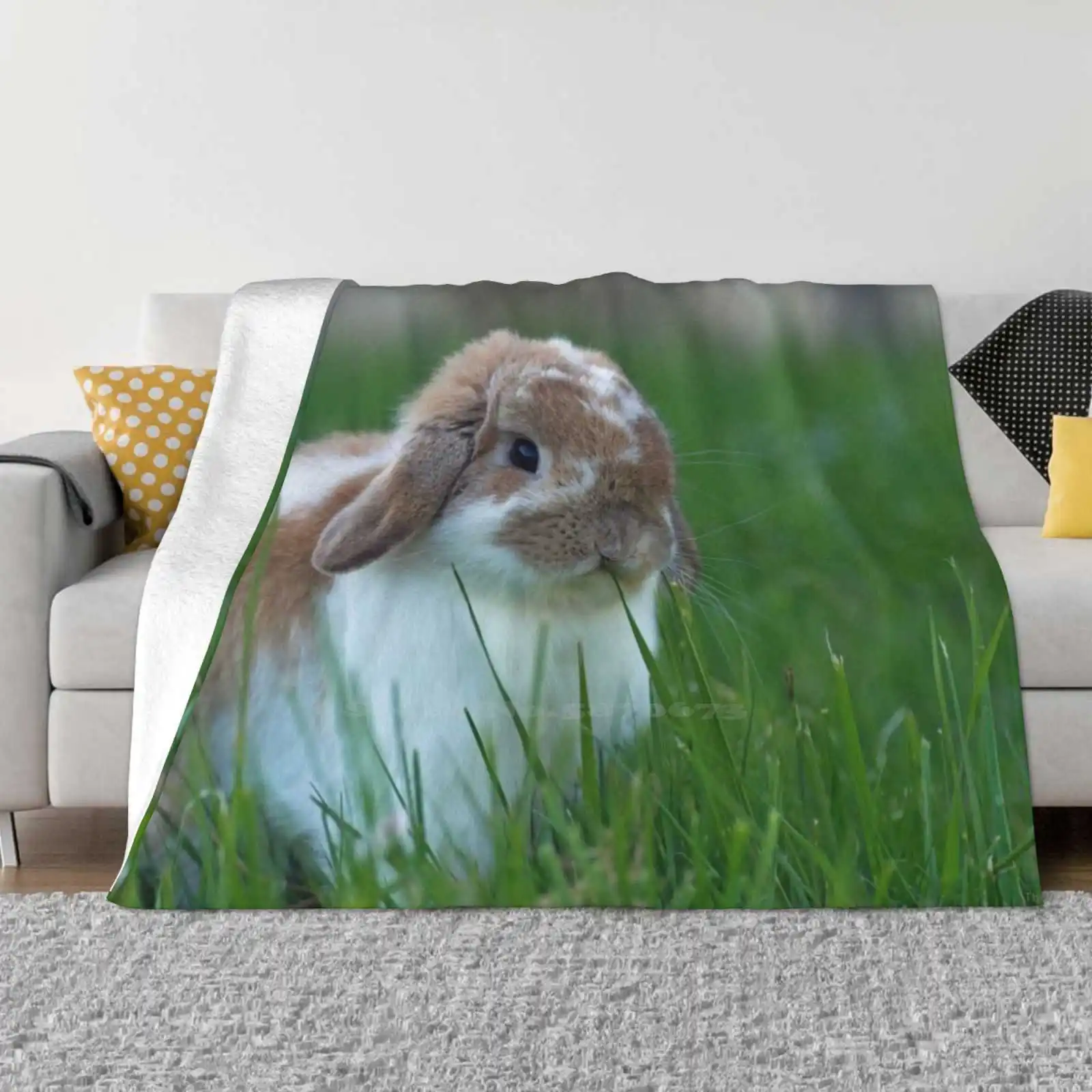 Brown And White Holland Lop Rabbit Munching On Grass Blanket Soft Warm Travel Portable Blanket Holland Lop Rabbit Brown And