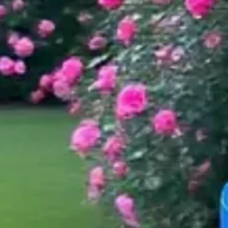 خرطوم سيفون ذاتي التحضير، أنبوب تجاوز بدون مثقاب، تصريف تلقائي جهد وملء نقل مياه الأمطار وحل أنبوب الفائض