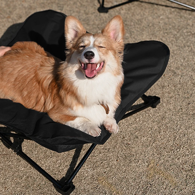 Thumbnail 2 - #61 Highest Rated Dog Sofa Beds to Buy in 2026