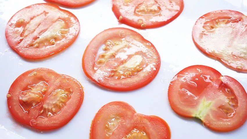 SX-100 Multi-Function Slicer for Coconut Lemon Spring Onion Potato - Kitchen Cutting Machine for Food Preparation