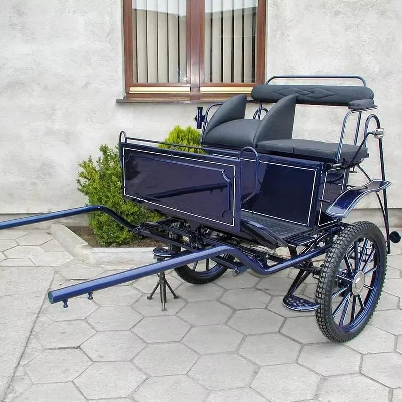 Sturdy Horse Carriage with Leaf Spring Suspension for Single Horse Riding Training