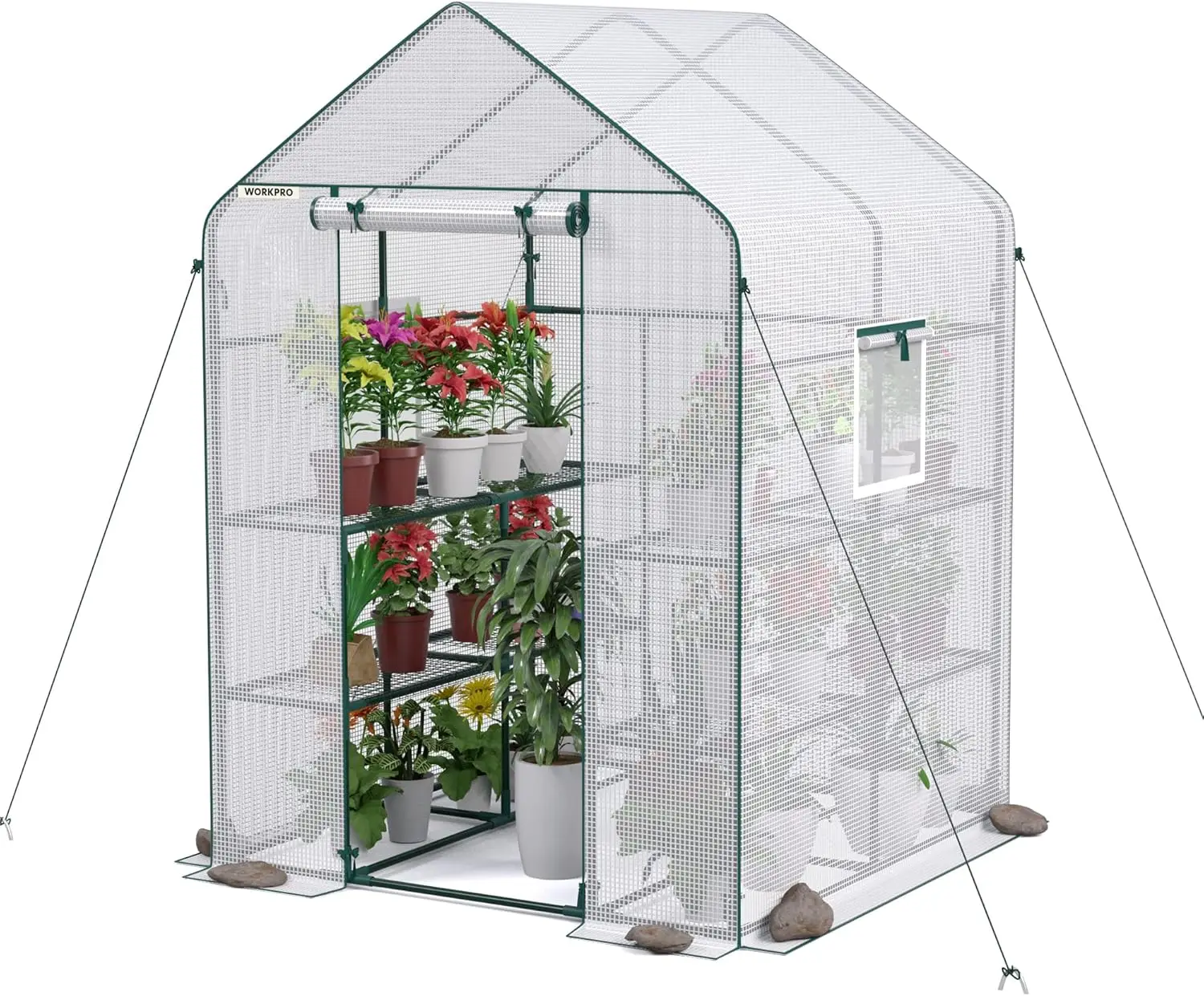 Greenhouse, 56” x 56” x 77” Heavy Duty Walk in Greenhouses for Outdoors with Screen Windows, Thicken PE Cover, 3 Tier 8 Shelves