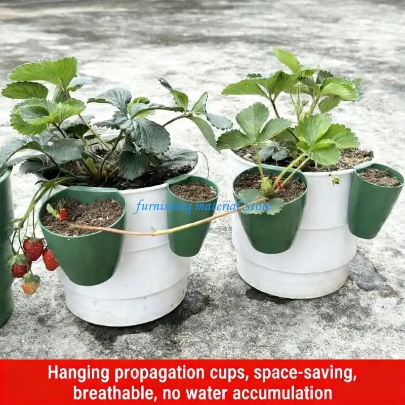 Y5GD Horticulture Cups Safe Material Air Holes Included For Moisture Control