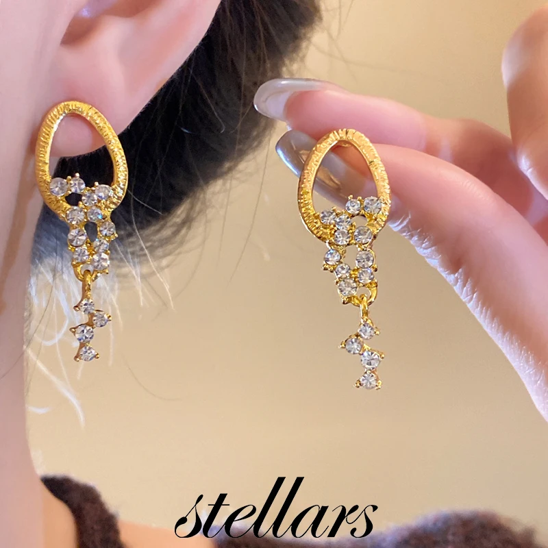 

Silver Needle Diamond Embellished Oval Tassel Earrings Trendy Minimalist Versatile Temperamental Light Luxury Womens Jewelry