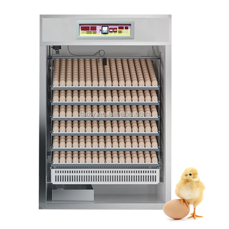 

Mini Incubator For Eggs Egg Incubators With Trays