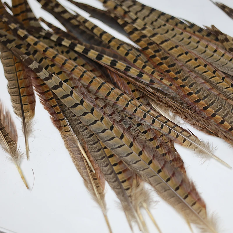 10Pcs Natural Ringneck Pheasant Feathers for DIY Crafts on The Head Decorative Feather Tail Party Festival Carnival Accessories