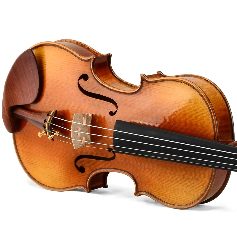 

Advanced Violin CHRISTINA V09 Rosewood Fittings Red Glossy Gradient Handmade Premium Spruce One-piece Flame Maple with Case Bow