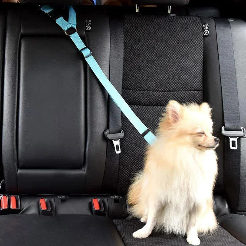 Outdoor Traction Rope Dog Products Pet Car Seat Belt Dog Seat Belt Dog Leash Traction Belts Cushioning Elastic Safety Rope