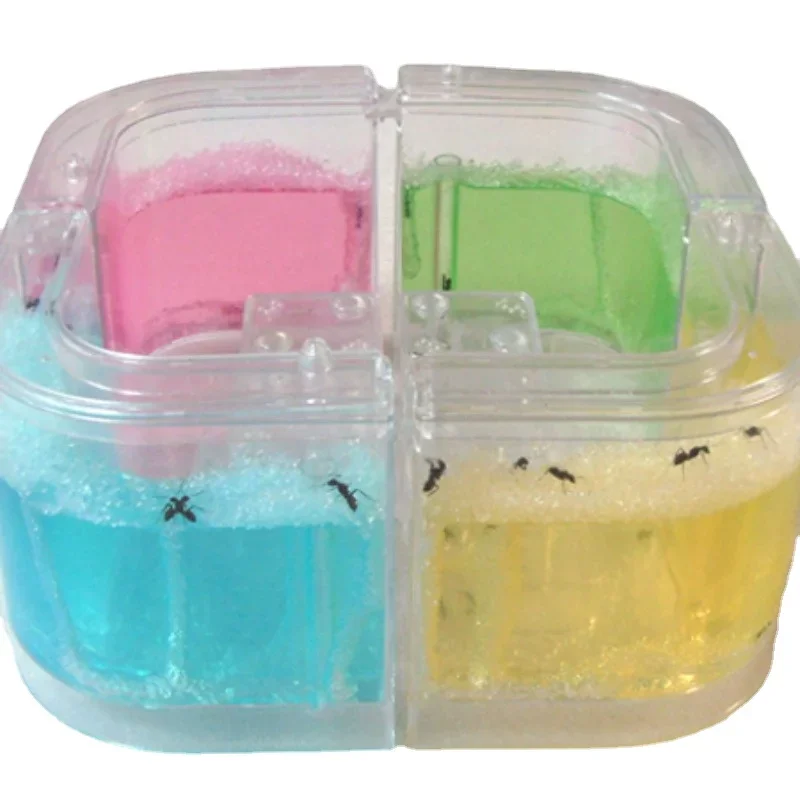 Authentic  Ant farm Birthday present pet villa Home queen  workshop mail