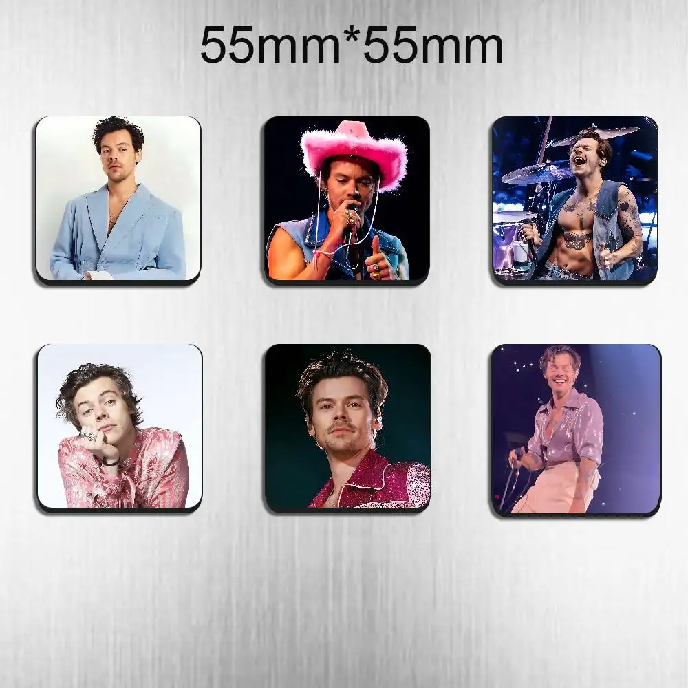 American Girls Harry Styles BestSelling Refrigerator Magnetic Sticker Fridge Magnets Adhesive to Metal Surfaces Leaves