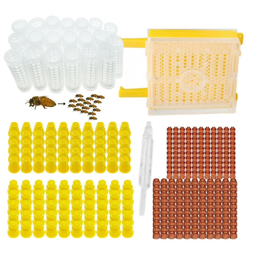 Jenter Queen Rearing Kit Nicot Cell Base Protection Cover Cage Raising Bee Larva Incubator Box Beekeeping Supplies High Accepted