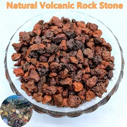 100~500g Natural Volcanic Rock Stone Aquarium Tank Purifying Water Stone Filter Accessory Nitrifying Bacteria Bottom Particles