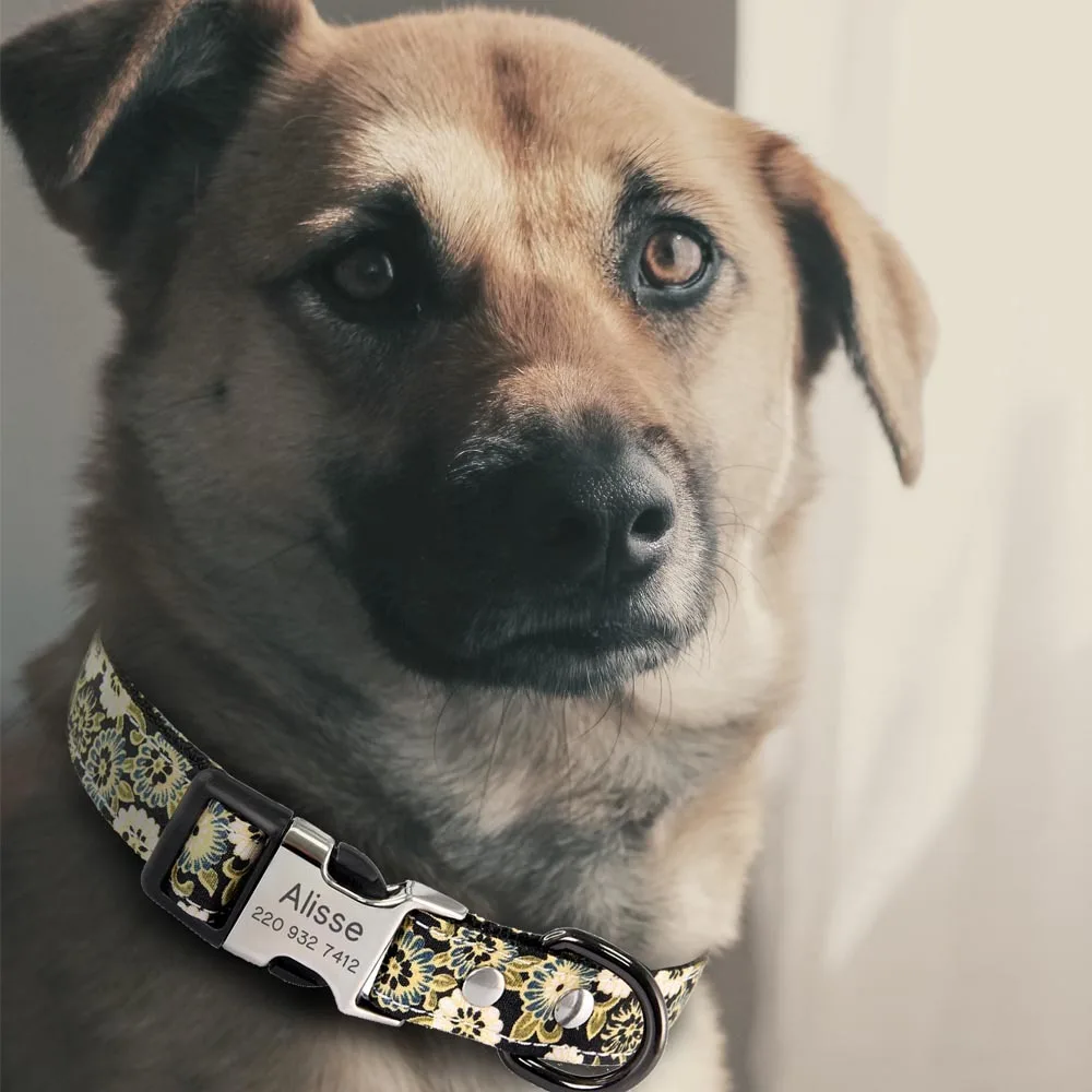 Coleira de cachorro personalizada com nome gravado livre, coleiras personalizadas, produto pet, acessórios, cães pequenos, médios, grandes, Pitbull