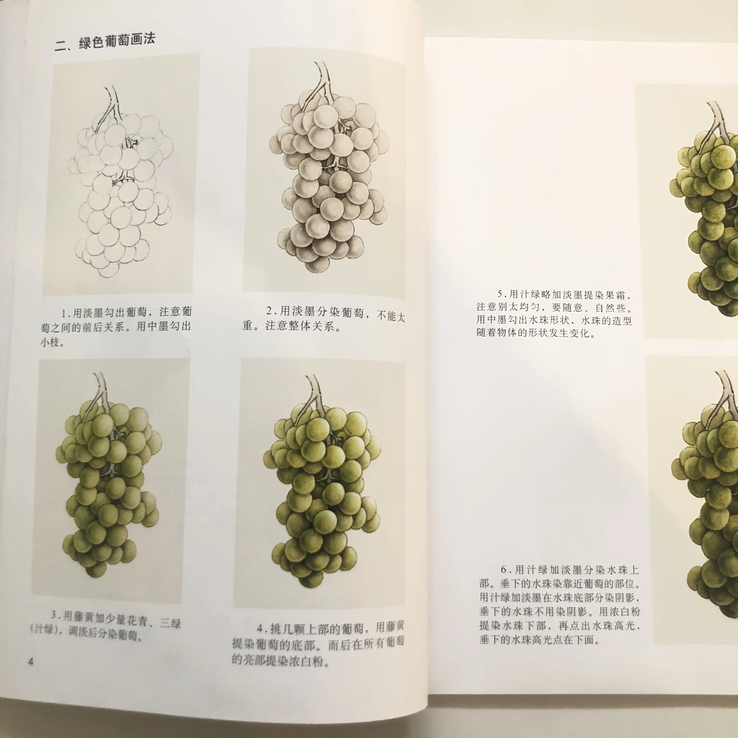 Beginner's Grape Painting: Gongbi Techniques for Translucent Fruit Texture