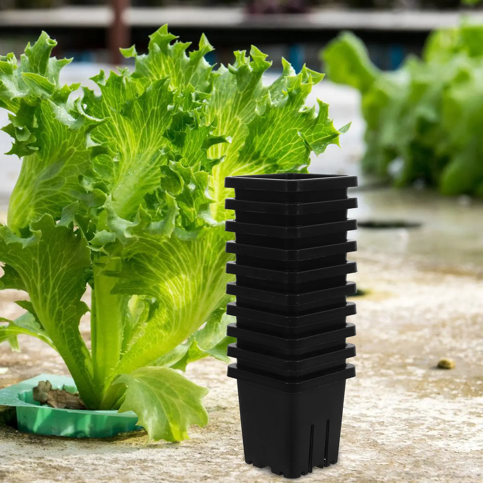 Hydroponic Net Pots 10 Pack Plastic Mesh Plant Baskets for Soilless Growing and Root Development