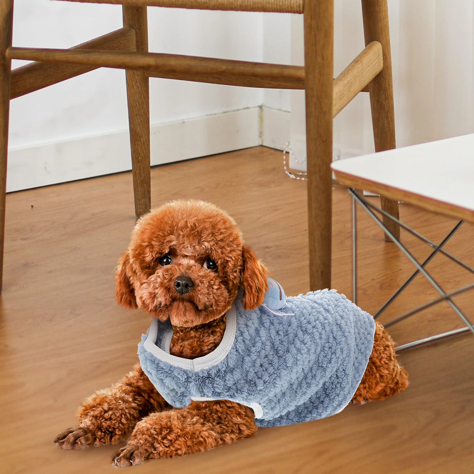 

Clothes for Pets Clothing Dog Small Dogs Puppy Cute Hoodie Coral Fleece Costume