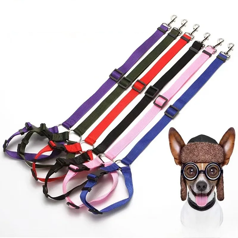 Outdoor Pet Sport Supplies Traction Rope in-vehicle Pet Fixation Safety Harness Circular Dog Cat Retractable Towing Rope image 2