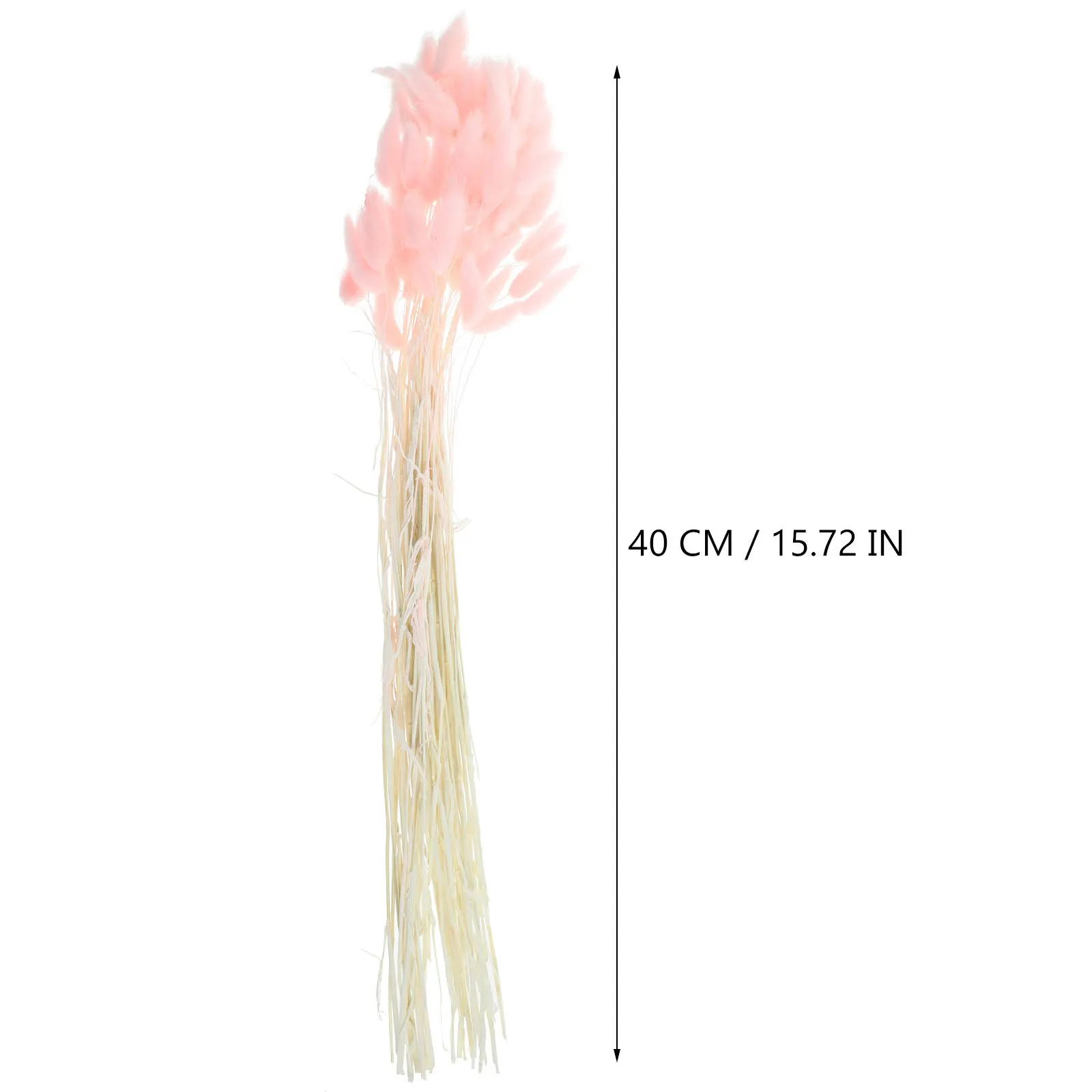 

120Pcs Natural Dried Rabbit Tail Grass Long-Lasting Home Decor DIY Bouquet Wedding Party Decoration Dried Plant Decor