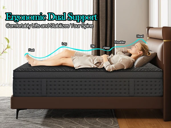 LayRoad 12/14-Inch Memory Foam Spring Mattress Single/Double/Queen/King Sizes Boxed Mattress Medium Firmness Pressure Relief