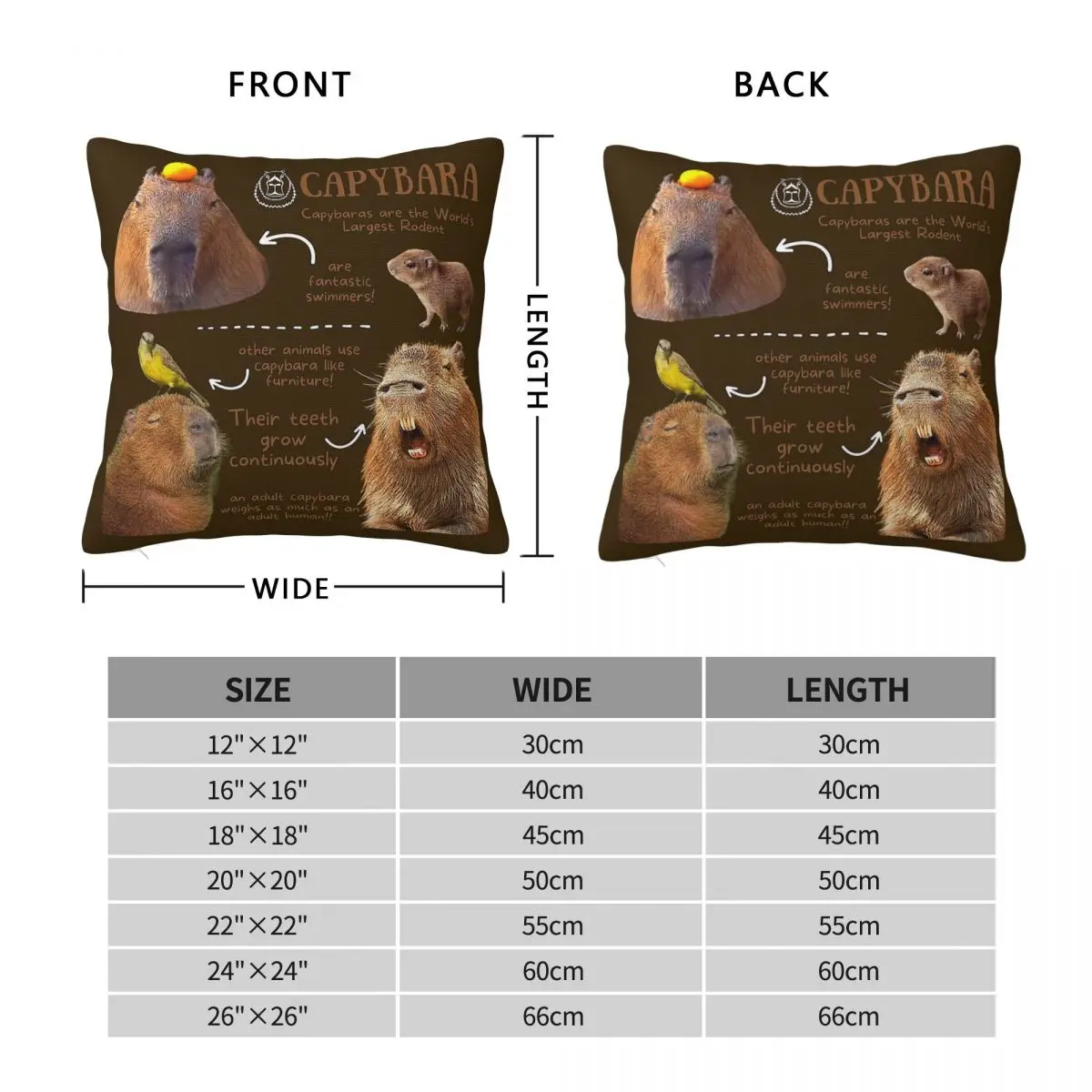 Capybara Fun Facts Square Pillowcase Polyester Linen Velvet Creative Zip Decor Pillow Case Sofa Seater Cushion Wholesale 18