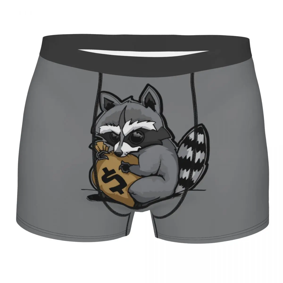 Custom Rich Raccoon Boxer Shorts For Homme 3D Printed Racoon Panda Underwear Panties Briefs Stretch Underpants