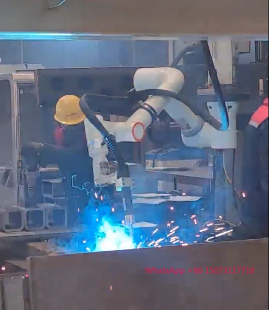 Braccio robotico collaborativo a 6 assi Braccio robotico 5 kg Carico utile 922 mm Cobot