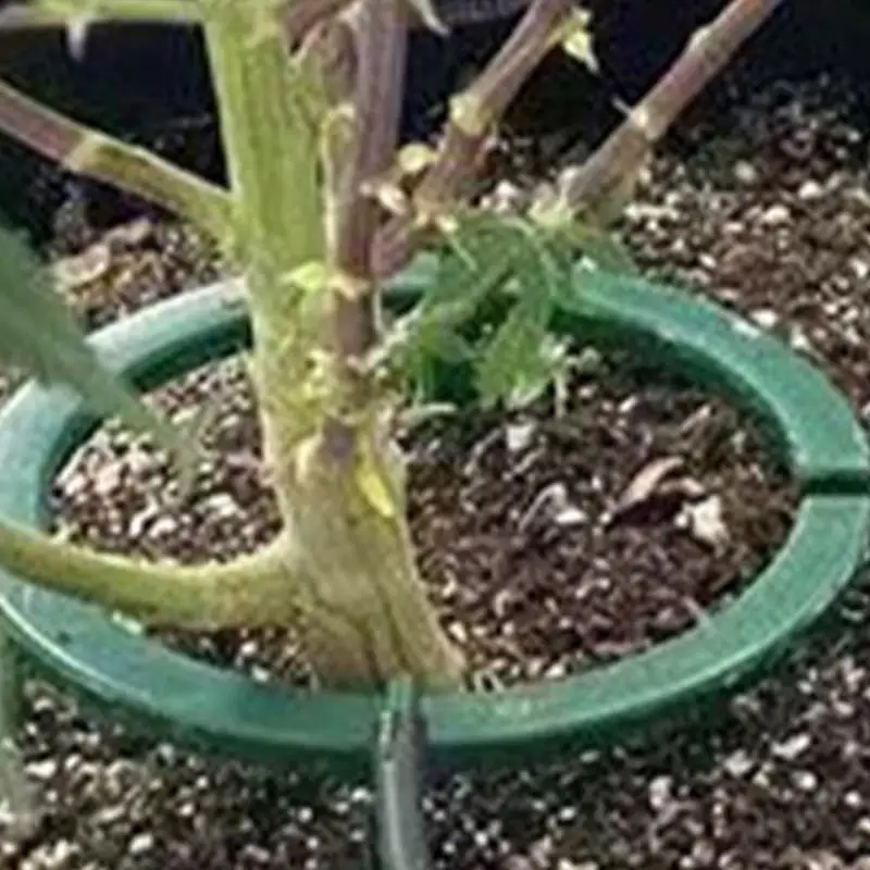 Hydro Halo Water Ring Multi Outlet Drip Irrigation Ring Plant Water Ring For Greenhouse Garden Courtyard Corridor Balcony Grow