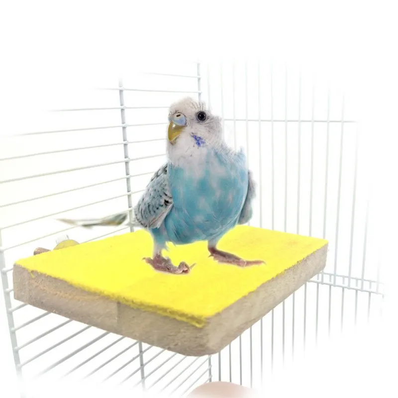 Pet Parrot Brd Toys Perch Stand Holder Platform Colorful Wood Paw Grinding Bird Parakeet Toys Birds Board Pet Resting Plate