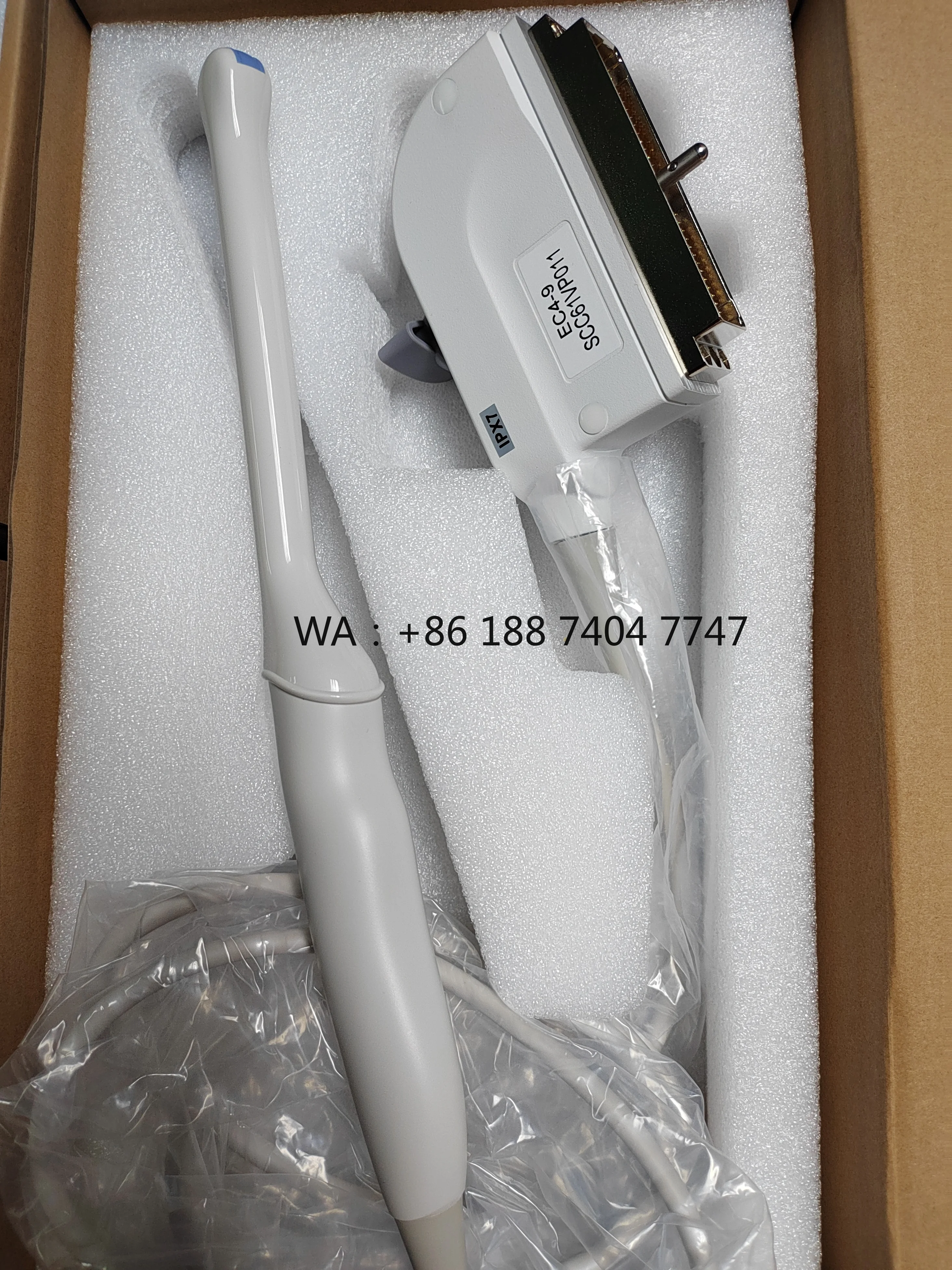 

Compatible Mindray 6CV1 Transducer Transvaginal ultrasound probe Ultrasonic scanner for Mindray Dc-3 DC-6 DC-6 Vet