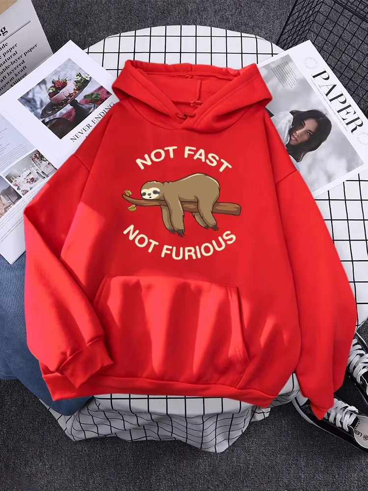 ليست سريعة وليست غاضب الكسل ينام معلقة من فروع الشارع الشهير امرأة الإبداع الدافئة هوديي لطيف الصوف هوديس الخريف هودي #5