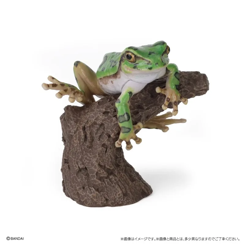 Original Bandai Big Biological Map Milk Tree Frog Gashapon Qversion Mini Animal Anime Action Figure Model Toys Gift Collection