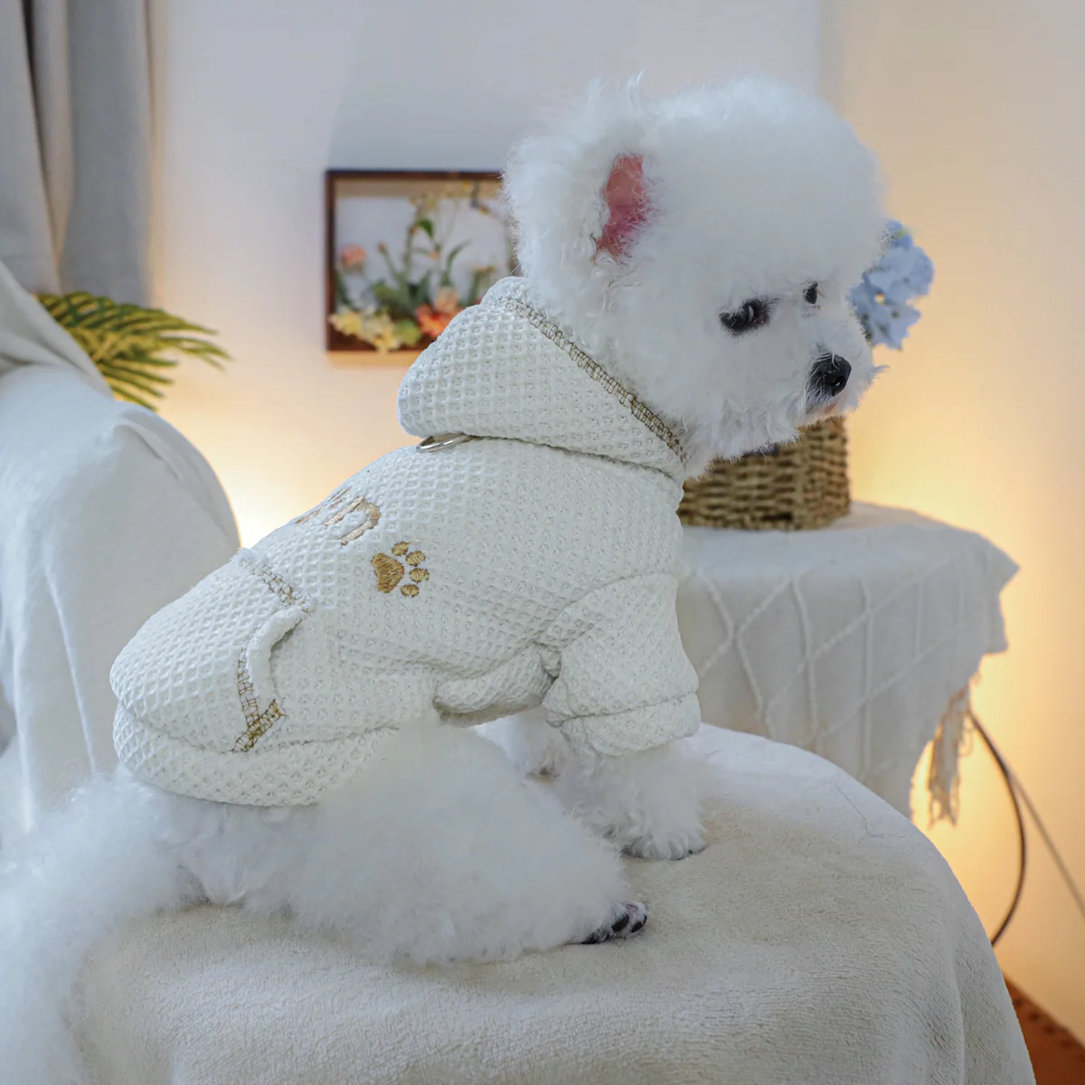 1PC Pet Clothing Plan A Hoodie for Autumn and Winter Thickened Warm Rice White Coat Suitable for Small and Medium sized Dogs