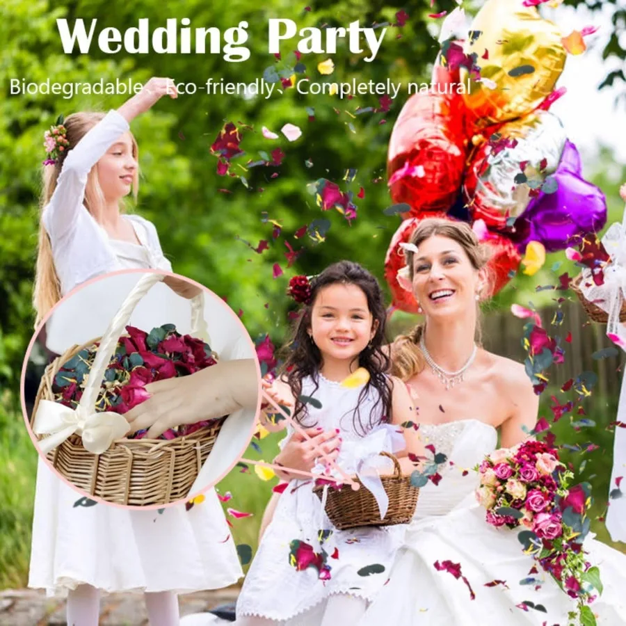 2 QT Roses séchées et feuilles d'eucalyptus mélange de pétales 20 + tasses de confettis biodégradables naturels contenant des chrysanthèmes au jasmin